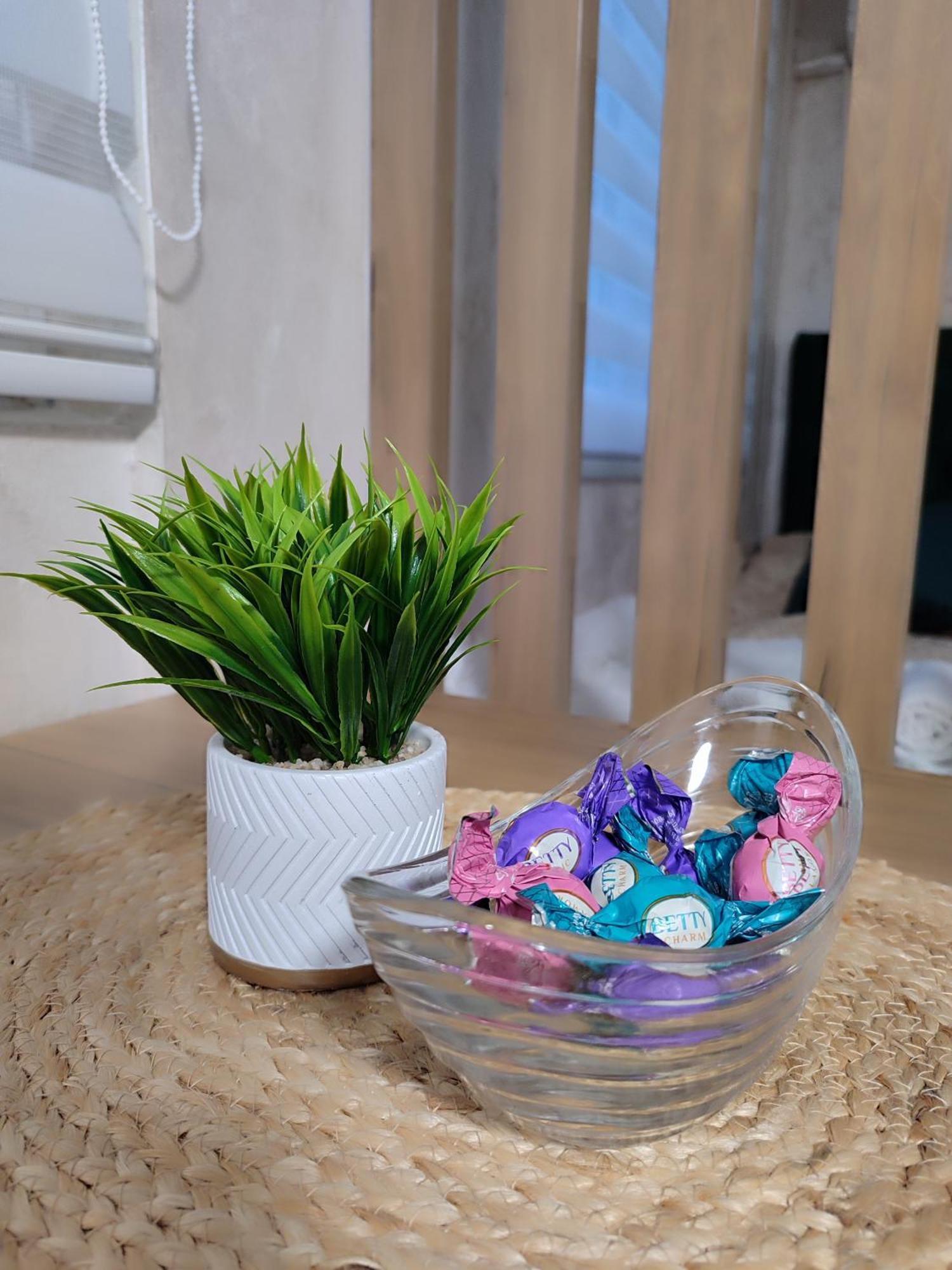 Studio Apartman Free Parking Rubikon Beograd Rom bilde